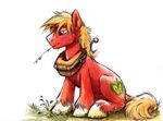  2014 big_macintosh_(mlp) blonde_hair cutie_mark earth_pony equine feral freckles friendship_is_magic fur green_eyes hair horse male mammal my_little_pony pony red_fur solo sophiecabra tess_garman 