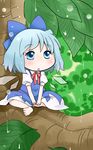  barefoot blue_eyes blue_hair bow cirno hair_bow hair_ornament hair_ribbon highres ice ice_wings looking_up open_mouth rain ribbon short_hair sitting solo touhou tree tree_branch wings yuzuna99 