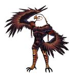  anthro avian bird eagle s-purple solo wings 