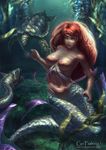  breasts highres large_breasts long_hair mermaid monster_girl nipples original red_hair regition sea_turtle solo topless turtle 