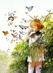  bad_id bad_pixiv_id biiji blue_eyes bug butterfly glasses insect orange_hair original short_hair skirt solo thighhighs 