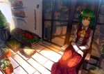  ascot chair florist flower_shop green_hair highres kazami_yuuka long_sleeves open_clothes open_vest plant potted_plant red_eyes shirt shop skirt smile solo touhou uu_uu_zan vest 