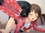  all_fours bestiality blush censored cervical_penetration clothed_sex cross_section cum cum_in_pussy cyclet dog doggystyle ejaculation game_cg hyper_heiki kankyuu_goujuu kneeling sex shinonome_mari sweat tongue tongue_out vaginal x-ray 