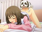  1girl all_fours bent_over bestiality blush bottomless cum cum_in_pussy cumdrip cyclet dog doggystyle ejaculation game_cg hyper_heiki kankyuu_goujuu kneeling on_bed sex shinonome_mari top-down_bottom-up vaginal 