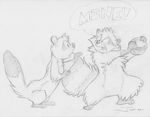  2014 angry coin dialog feral ferret jonas male mammal mustelid raccoon sketch solo text 
