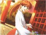  alternate_costume alternate_hairstyle artist_request ayanami_raising_project blue_eyes japanese_clothes long_hair miko neon_genesis_evangelion official_art ponytail red_hair ribbon scan shrine smile solo souryuu_asuka_langley torii 
