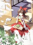  absurdres ascot bei_ju_luoxuan_wan blurry bow brown_eyes brown_hair cake cat cup depth_of_field detached_sleeves flower food fork from_above gohei grass green_tea hair_bow hair_tubes hakurei_reimu highres light_smile lily_(flower) looking_up mary_janes outdoors petals plate porch red_footwear ribbon-trimmed_sleeves ribbon_trim shoes sitting solo tea teacup teapot touhou tray white_cat 