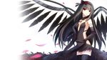  akemi_homura akuma_homura argyle argyle_legwear bangs bare_shoulders black_gloves black_hair black_scarf black_wings bow choker dress elbow_gloves feathered_wings flower gloves hair_bow hand_on_own_chest long_hair looking_at_viewer mahou_shoujo_madoka_magica mahou_shoujo_madoka_magica_movie petals red_eyes red_flower red_rose rods rose scarf simple_background solo spoilers thighhighs white_background wings zettai_ryouiki 