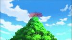  animated animated_gif hawlucha lowres no_humans pokemon pokemon_(anime) ursaring 