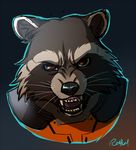  male mammal raccoon rocket_raccoon rossciaco solo 