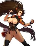 bad_id bad_pixiv_id bottomless breastless_clothes breasts brown_eyes brown_hair dungeon_and_fighter fighter_(dungeon_and_fighter) happening18 large_breasts long_hair navel nipples pubic_hair solo thighhighs transparent_background very_long_hair 