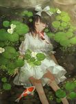  black_hair carp closed_eyes cotta dress fish hair_ribbon lily_pad lying on_back original ribbon short_hair smile solo underwater water white_dress 