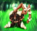  anus breasts cotton cum female fluff forest gaping grass lagomorph legwear mammal mega_evolution mega_lopunny nature nintendo nipples open_mouth pok&eacute;mon presenting puffy_anus pussy rabbit shagbase spreading stockings tall_grass tree video_games 