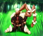  anus balls big_butt butt cotton fluff forest grass lagomorph legwear male mammal mega_evolution mega_lopunny nature nintendo nipples open_mouth penis pok&eacute;mon presenting puffy_anus rabbit shagbase spreading stockings tall_grass tree video_games voluptuous wide_hips 