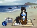  beach bikini black_hair blue_eyes breasts canine cat clothed clothing feline female fox hair hybrid looking_at_viewer mammal seaside swimsuit tiger tpf1990 voluptuous water 