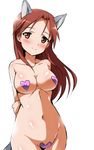  animal_ears arms_behind_back blush breasts covered_nipples dog_ears dog_tail heart heart_pasties highres large_breasts long_hair looking_at_viewer minna-dietlinde_wilcke navel pasties red_eyes red_hair smile solo strike_witches tail tokiani world_witches_series 