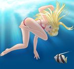  akemi_(crusher) barefoot bikini blonde_hair blue_eyes breasts feet fish freediving lips long_hair original sideboob small_breasts solo swimming swimsuit underwater 