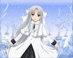  border dress ice melty_blood pointy_ears red_eyes ribbon silver_hair smile snow solo tsukihime ultra_no_ani white_hair white_len 