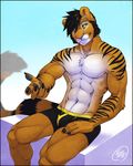  2014 abs anthro black_hair bulge claws cougar feline feralise hair hybrid male mammal muscles pecs solo stripes tiger 