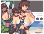 1girl beach breasts cleavage dead_or_alive dead_or_alive_5 hitomi_(doa) huge_breasts ibanen solo 
