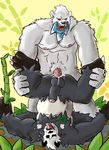  anthro balls bear beartic cum cum_on_balls erection fur gay goronda ice lowemond male mammal nintendo pangoro penis pok&eacute;mon polar_bear teeth tongue video_games 