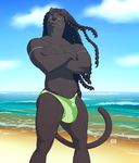  2014 aidan anthro balls beach big_balls big_penis bng bulge feline grin hair long_hair male mammal muscles outside panther penis seaside sky solo source_request standing thong 