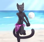  2012 anthro beach bikini black_fur bulge cat caylen_(retrospecter) feline front_view fur girly happy kuni male mammal navel plantigrade pointy_ears raised_leg sea seaside skirt swimsuit thigh_gap topless translucent transparent_clothing volleyball water 