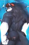  2014 anthro back_turned big_muscles butt canine fur lokya looking_at_viewer male mammal muscles solo speedo swimsuit undressing wolf 