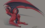  anus balls butt dragon echoiness humanoid_penis lunamoth penis presenting presenting_hindquarters red_scales scalie wings 