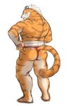  back_turned butt clothing colored feline fundoshi male mammal solo tiger tugging underwear 