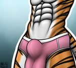  2014 abs anthro aolun body_markings bulge clothed clothing faceless_male feline fur male mammal markings muscles orange_fur pecs plain_background solo stripes tiger toned topless underwear white_fur 