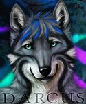  2013 blue_eyes canine darcus darkicewolf fur hair icon looking_at_viewer male mammal pose smile solo standing wolf 