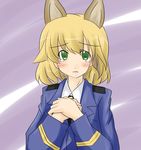  amelie_planchard animal_ears blonde_hair bunny_ears green_eyes solo strike_witches uniform world_witches_series 