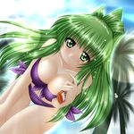  bent_over bikini bottle breasts cleavage green_eyes green_hair kagura_chitose large_breasts long_hair lotion original palm_tree ponytail solo sunscreen swimsuit thigh_gap tree wet 