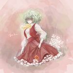  ascot bad_id bad_pixiv_id character_name flower green_hair kazami_yuuka red_eyes short_hair skirt skirt_set solo takatora touhou vest 