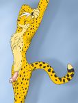  anthro armpits cecil_richter cheetah concession feline fur hair immelmann male mammal penis solo tuft uncut 