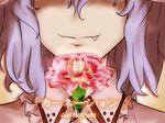  carnation close-up face fang fang_out flower head_out_of_frame light_smile out_of_frame purple_hair remilia_scarlet solo touhou worthlessvalor 