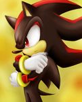  1boy crossed_arms gloves male male_focus no_humans red_eyes sega shadow_the_hedgehog solo sonic_team sonic_the_hedgehog tail 