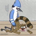  anal anal_penetration avian bird blush cum gay interspecies male mordecai orgasm penetration regular_show rigby sex tongue veinsafterdark 