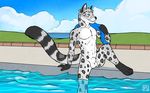  arm_support balls canine feline fox hybrid leaning leopard looking_away male mammal nude pool sheath snow_leopard solo swimming_pool tsaiwolf water 