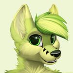  2014 anthro canine fox fur green_fur hair happy jamesfoxbr male mammal plain_background smile solo 