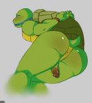  anus bald bdsm big_butt bondage bound butt crazedg leonardo_(tmnt) looking_at_viewer looking_back male nude open_mouth penis reptile scalie shell solo teenage_mutant_ninja_turtles turtle 