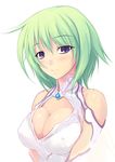  amei_sumeru breasts cleavage cleavage_cutout covered_nipples green_hair large_breasts original purple_eyes solo 