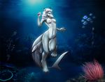  blue_eyes breasts female finir fish grey_skin marine nipples nude shark solo underwater water 