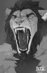  2018 feline lion male mammal open_mouth simple_background solo tatiilange teeth tongue whiskers 