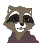  2014 cute jailbird male mammal raccoon rocket_raccoon smile 