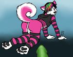  butt canine cute dog gay girly husky imminent_sex klace legwear male mammal penis presenting presenting_hindquarters rainbow stockings 