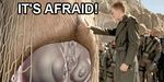  animated anus arthropod breasts carl insect meme pussy starship_troopers teats zevex 