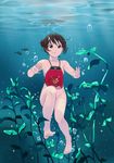  absurdres air_bubble bare_shoulders barefoot bottomless brown_eyes brown_hair bubble double_bun dudou feet fish freediving highres holding_breath legs original seaweed solo toes underwater water yewang19 