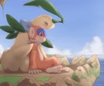  2014 ambiguous_gender bayleef brown_eyes cloud duo hi_res kajinchu mammal monferno monkey nintendo outside pok&eacute;mon primate sitting sky video_games water 